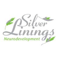 Silver Linings Neurodevelopment image 1
